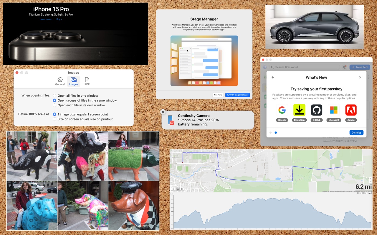 Everything You Need to Know about Taking Screenshots on the Mac - IT WORX